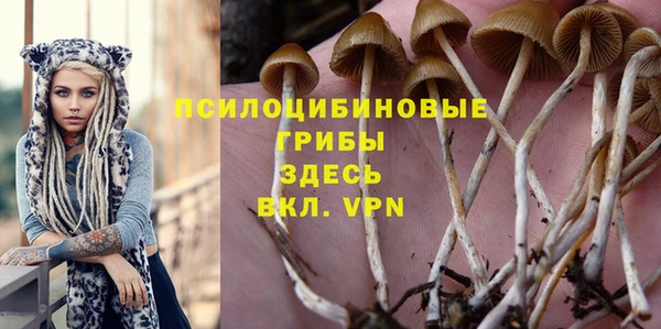 экстази Новодвинск