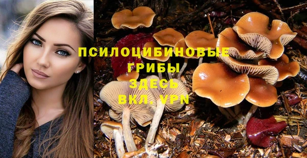 амфетамин Новозыбков