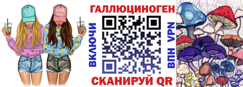 Псилоцибиновые грибы мухоморы  купить наркотик  Рошаль 
